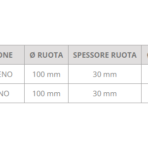 Ruota 100x30 mm con supporto inox